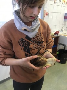 PHOTO-2021-11-23-19-17-43