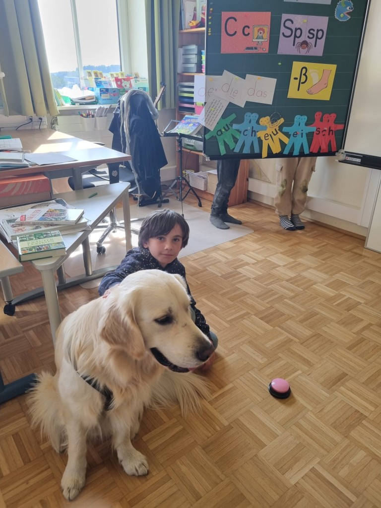 Miko unser Schulhund