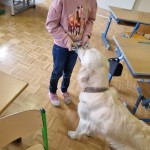 Miko bekommt eine Belohnung