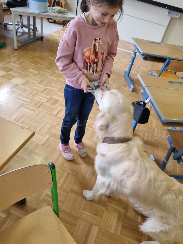 Miko bekommt eine Belohnung